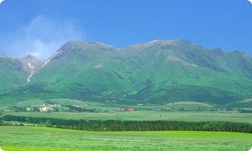 科学课堂活动总结范文