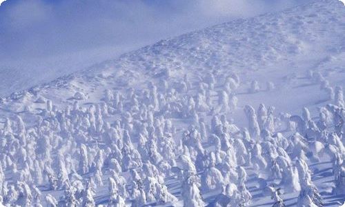 【精品】雪写景作文锦集九篇