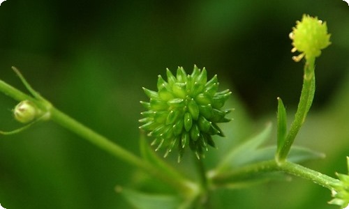 【推荐】初中生活作文300字汇总7篇