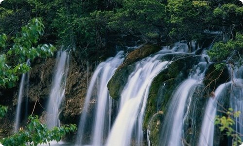 有关夏天写景的作文汇编五篇