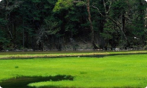 小学写景作文汇编十篇