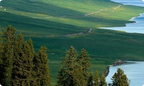 【推荐】夏天写景的作文合集六篇