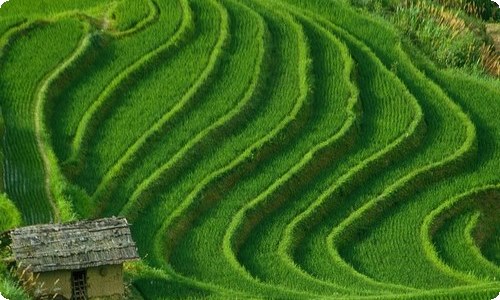 初中化学教学计划模板7篇