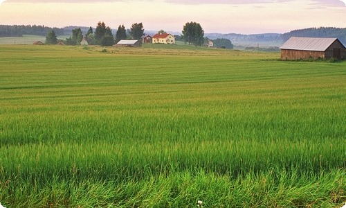 【热门】秋天写景作文合集五篇