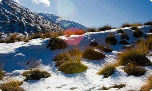 雪写景作文400字集锦六篇