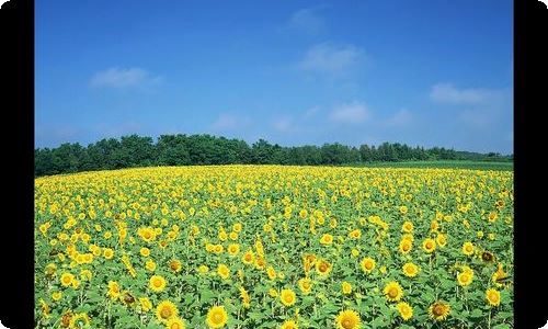 关于桂林山水 教案五篇