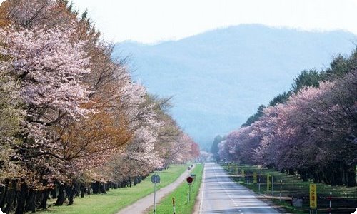 【热门】初中春节的作文汇编五篇