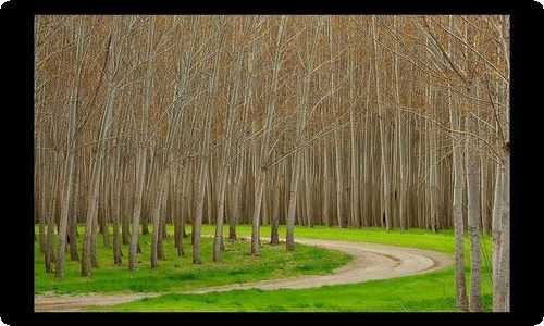 【推荐】夏天写景作文300字合集9篇