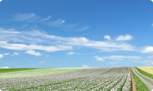 六一儿童节日记15篇