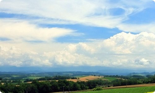 有关春天写景的作文合集八篇