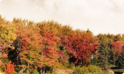 老师写人作文锦集八篇