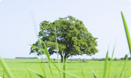 大海写景作文600字合集六篇