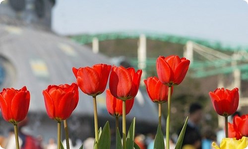 春天写景作文300字集锦五篇