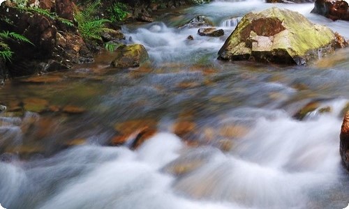 精选秋天写景的作文汇总6篇