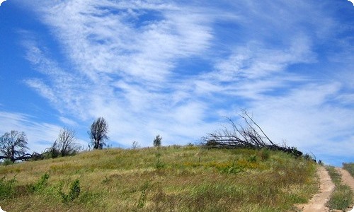 精选秋天写景的作文4篇