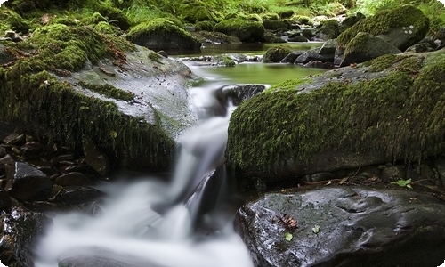 秋天写景作文(合集15篇)