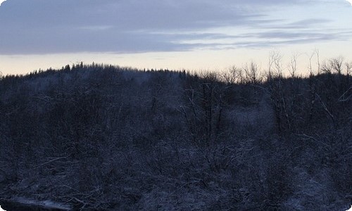 实用的秋天来了写景作文九篇