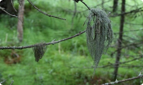 精选春雨日记三篇