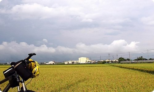 军训的日记15篇