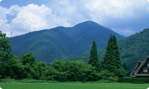 精选初中写景作文合集八篇