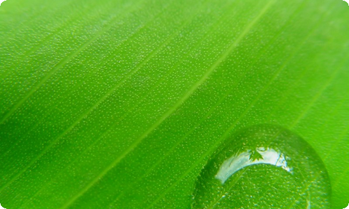 雨天写景作文(15篇)