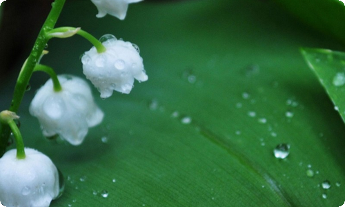 我的老师周记(15篇)