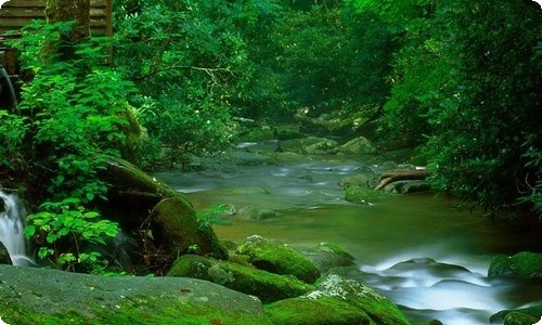 语文教学总结范文汇总8篇