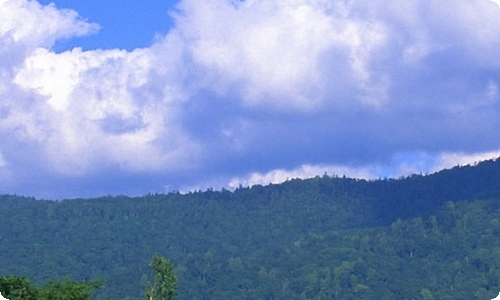 【精品】夏天写景作文汇编八篇