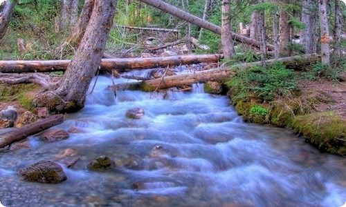 《水浒传》读后感(集合15篇)